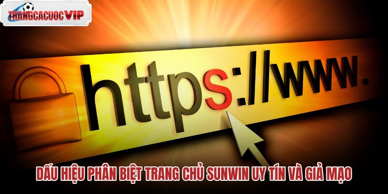 dau-hieu-phan-biet-trang-chu-sunwin-uy-tin-va-gia-mao dau-hieu-phan-biet-trang-chu-sunwin-uy-tin-va-gia-mao