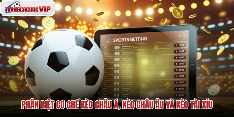 phan biet co che keo chau a keo chau au va keo tai xiu phan biet co che keo chau a keo chau au va keo tai xiu